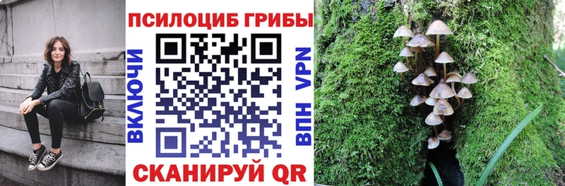 Псилоцибиновые грибы MAGIC MUSHROOMS  МЕГА   Няндома 